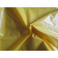 20d Nylon Taffeta Fabric for Down Coat (XSN006)